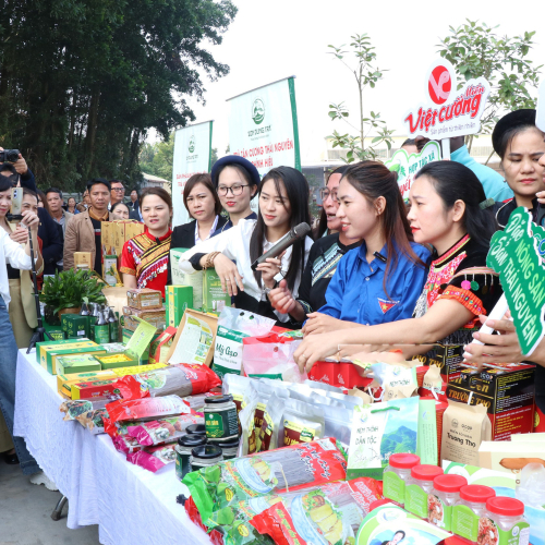Thái Nguyên Đẩy Mạnh Chuyển Đổi Số, Tạo Bứt Phá Phát Triển Kinh Tế - Xã Hội
